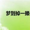 梦到掉一撮头发（梦见掉头发一拽一缕）