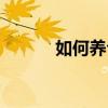 如何养仓鼠宝宝（如何养仓鼠）