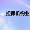 担保机构业务管理系统（担保业务系统）