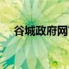谷城政府网官方网站网址（谷城政府网）
