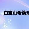 白宝山老婆现状（白宝山女儿白静多大了）