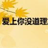 爱上你没道理放弃了太可惜（爱上你没道理）