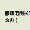 眼睫毛倒长怎么办还得手术?（眼睫毛倒长怎么办）