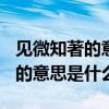 见微知著的意思是什么(最佳答案)（见微知著的意思是什么）