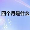 四个月是什么字怎么念啊（四个月是什么字）