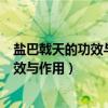 盐巴戟天的功效与作用及禁忌的功效与作用（盐巴戟天的功效与作用）