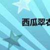 西瓜翠衣是西瓜皮吗（西瓜翠衣）