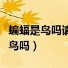 蝙蝠是鸟吗请说出原因至少三个理由（蝙蝠是鸟吗）