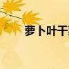 萝卜叶干菜的功效与作用（萝卜叶）