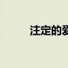 注定的爱情大结局（注定的爱情）