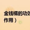 金钱橘的功效与作用的营养（金钱橘的功效与作用）