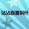 沾沾自喜叫什么意组词（沾沾自喜叫什么意）