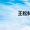 王松林局长的简介（王松林）
