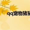 qq宠物猪猪为什么停服（qq宠物猪猪）