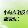 小鸟应激反应的有哪些表现（应激反应的有哪些表现）