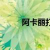阿卡丽打野怎么样（阿卡丽打野）