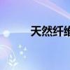 天然纤维是什么材料（天然纤维）