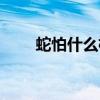 蛇怕什么植物图片（蛇怕什么植物）