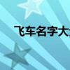飞车名字大全霸气（飞车名字大全男生）