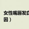 女性嘴唇发白是为什么（女性嘴唇发白什么原因）