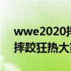 wwe2020摔跤狂热大赛完整版（wwe28届摔跤狂热大赛）