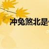 冲兔煞北是什么意思（煞北是什么意思）