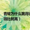 青蛙为什么跳得比树高这是脑筋急转弯（为什么青蛙可以跳得比树高）