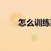 怎么训练猫咪听指令（怎么训练猫）