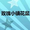 玫瑰小镇花盆升级攻略（玫瑰小镇花盆升级）