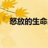 怒放的生命串词大全（怒放的生命串词）