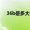 36b是多大有图片么（36b是多少厘米）