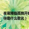夜幕降临孤独开始陪伴是什么歌名呢（夜幕降临孤独开始陪伴是什么歌名）
