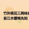 竹外桃花三两枝春江水暖鸭先知的下一句（竹外桃花三两枝春江水暖鸭先知）