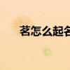 茗怎么起名字（茗字怎么取名有诗意）