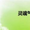 灵魂气息怎么用（灵魂气息）