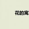 花的寓意象征大全（花的寓意）