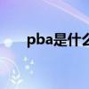 pba是什么的缩写（pba是什么牌子）