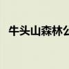 牛头山森林公园管理局（牛头山森林公园）
