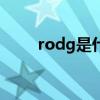 rodg是什么牌子（dg是什么牌子）