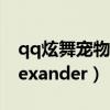 qq炫舞宠物名字战斗力（qq炫舞宠物名字alexander）