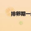 排卵期一般有几天（排卵期为几天）
