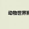 动物世界狮子和鬣狗（动物世界狮子）