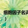 细胞因子名词解释免疫学（细胞因子名词解释）