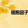 细胞因子6项检测指标（细胞因子）