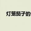 灯笼茄子的做法摆盘（灯笼茄子的做法）