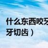 什么东西咬牙切齿铁链打一生肖（什么东西咬牙切齿）