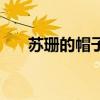 苏珊的帽子阅读题结果（苏珊的帽子）