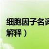 细胞因子名词解释细胞生物学（细胞因子名词解释）