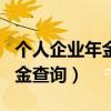 个人企业年金查询app下载安装（个人企业年金查询）