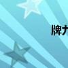 牌九怎么玩教学（牌九）